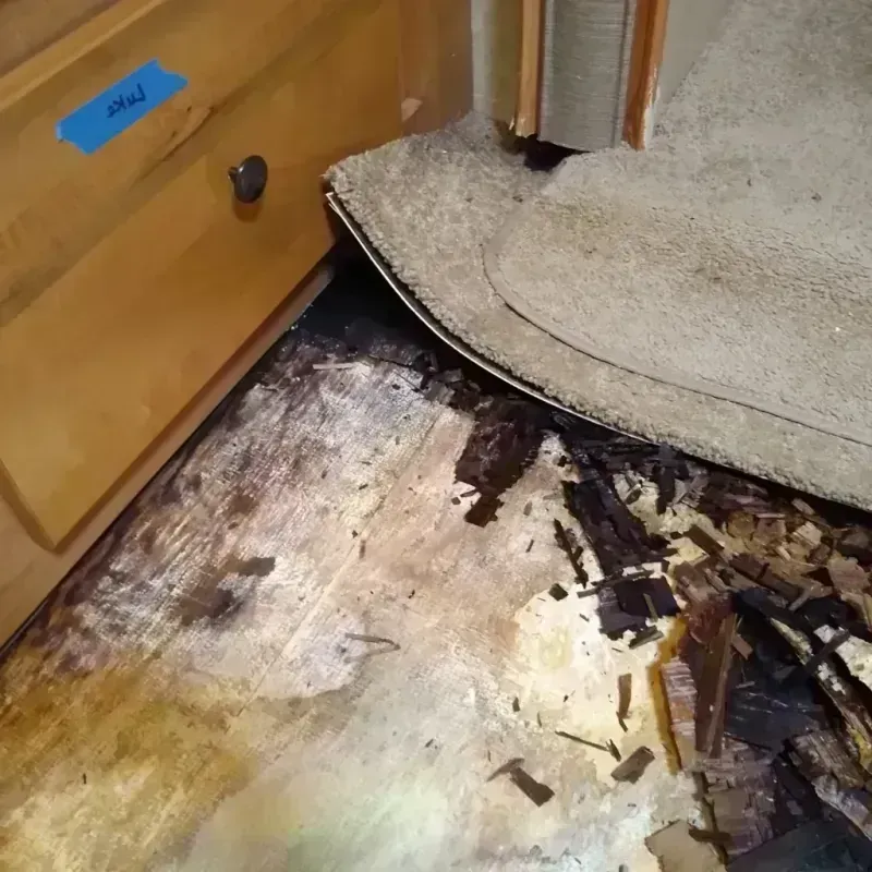 Wood Floor Water Damage in Amherst, WI